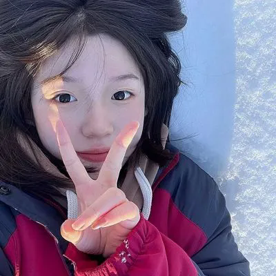 案中案(原声版)