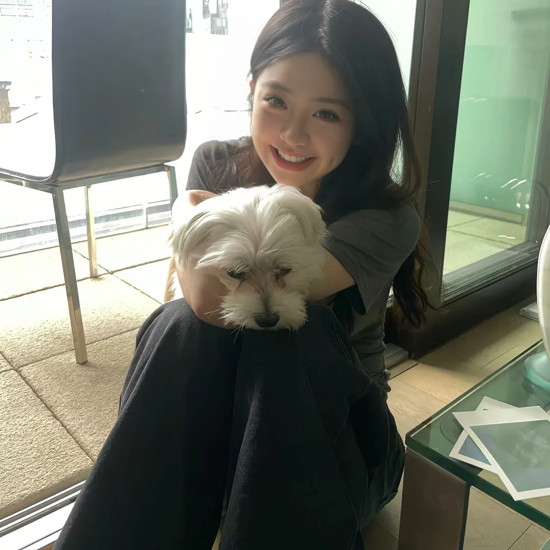 智勇新警界粤语